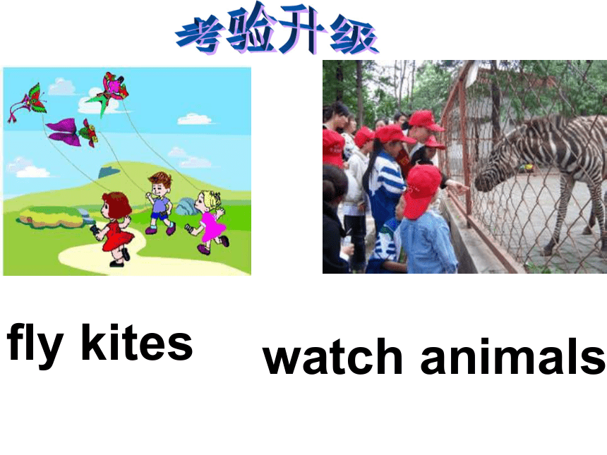 Lesson 5 Having Fun Together 课件(共21张PPT)