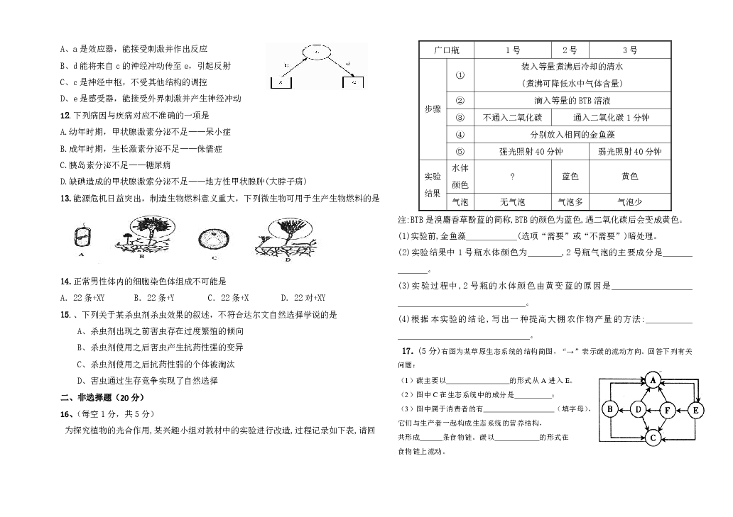 内蒙古呼和浩特市武川县第二中学2019-2020学年八年级下学期期末考试生物试题.doc （含答案）