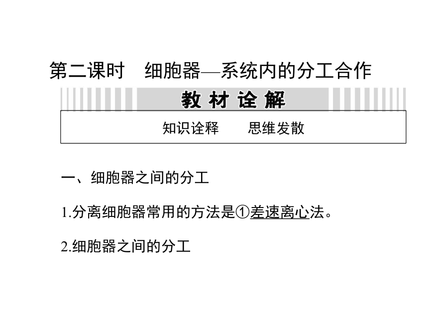 2014届高三生物一轮复习课件： 2.2 细胞器—系统内的分工合作