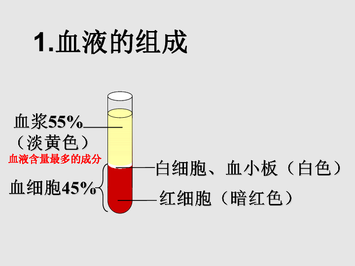 濟南版生物七年級下冊第三單元第三章第一節 物質運