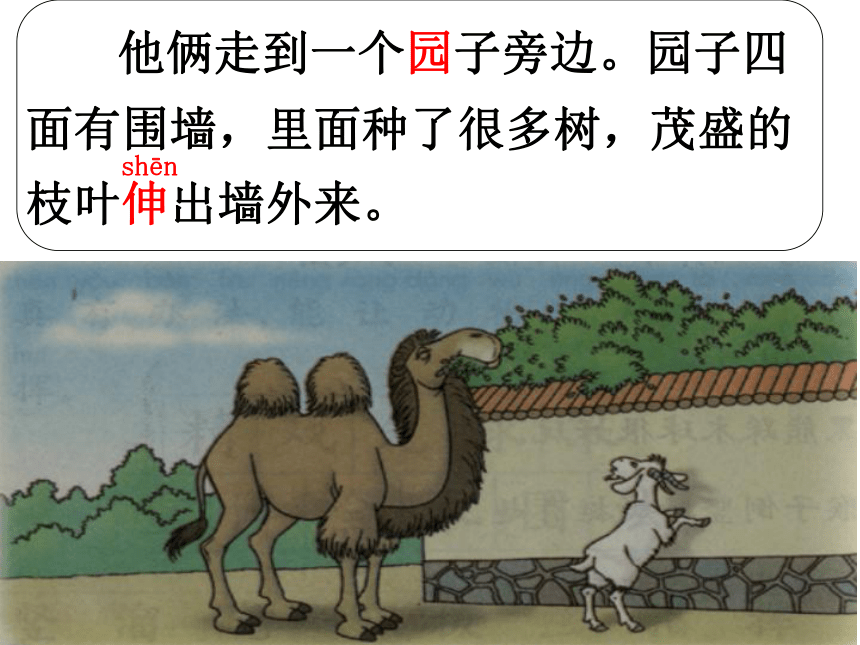 语文二年级下北京版7.28《骆驼和羊》课件