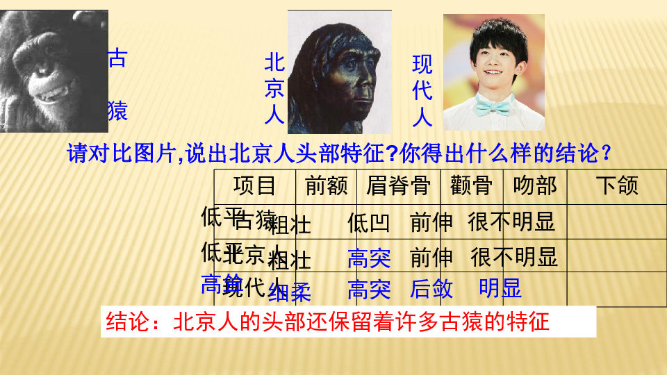 第1课 中国境内早期人类的代表--北京人  课件(21张PPT)