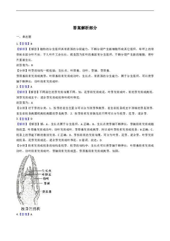 4.1.6 芽的类型和发育 同步测试（含解析）