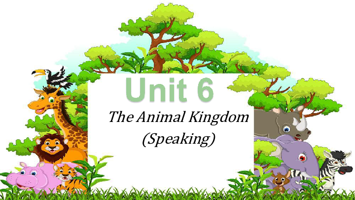 Unit 6 The Animal Kingdom Speaking 课件(共19张PPT)