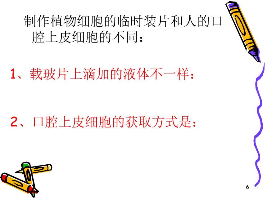 第三节观察动物细胞课件