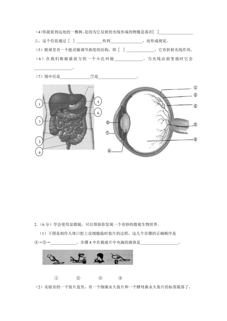 山东省滨州市邹平双语学校2016-2017学年八年级下学期期中考试生物试卷