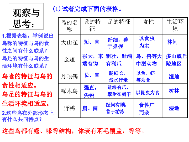 苏科版七下生物  12.1 鸟类 课件（21张PPT）