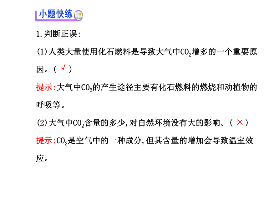 6.3大自然中的二氧化碳 课件