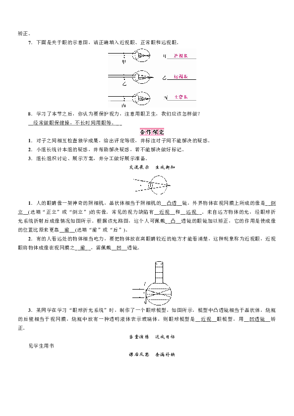 4.6 神奇的眼睛 学案（含答案）