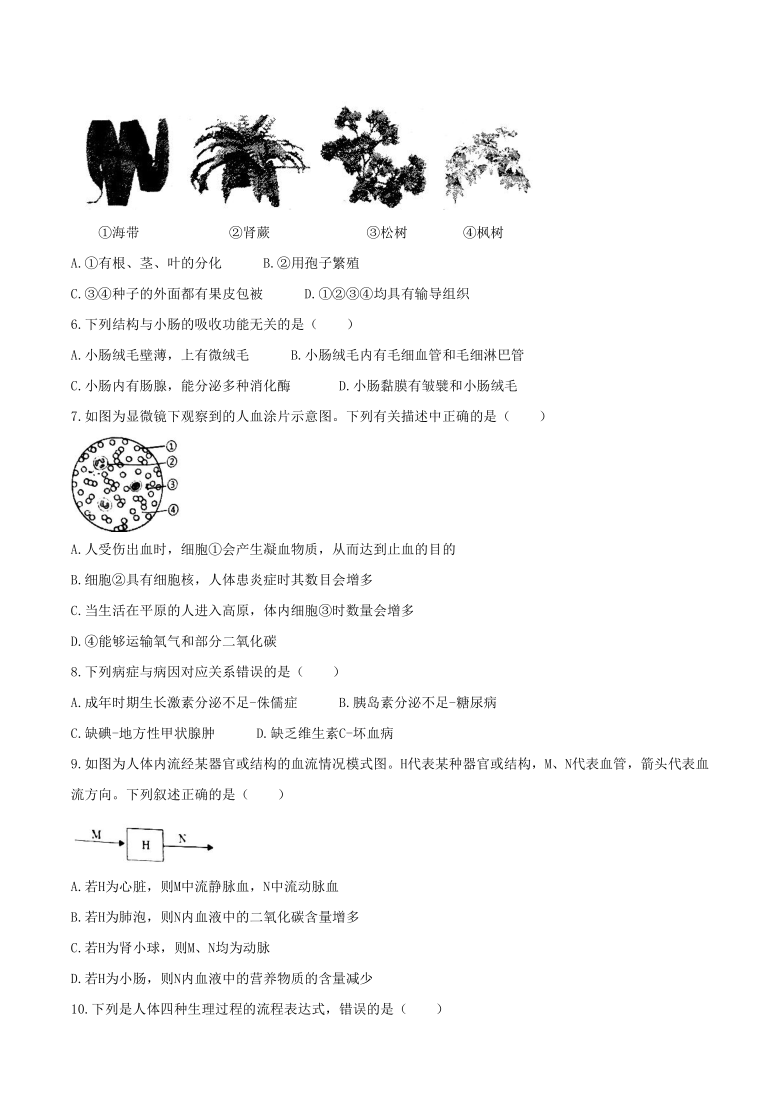 江西省吉安市吉州区2020-2021学年九年级上学期期末生物试题（word版含答案）