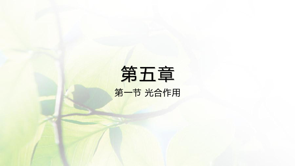 北师大版生物七年级上册第三单元 5.1 光合作用( 第一课时) 课件（共21张PPT）