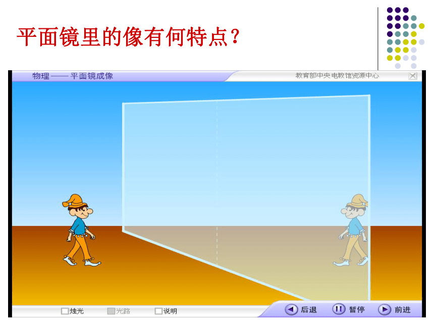 第5节光的反射和折射（第二课时平面镜）