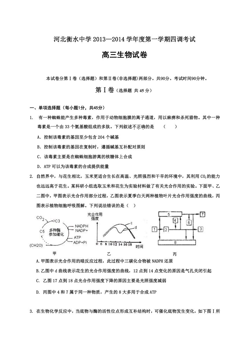 河北省衡水中学2014届高三上学期四调考试生物试卷