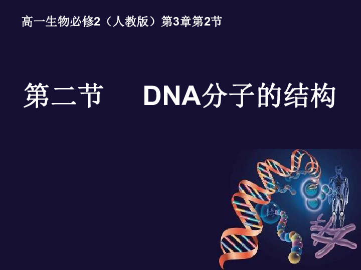 人教版高中生物必修二第3章第2节 《 DNA分子的结构》课件 共25张PPT