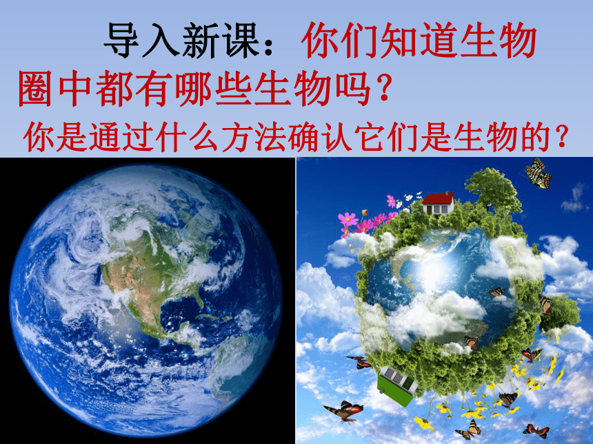 人教版七年级上册生物第一章第一节生物的特征 课件（22PPT）