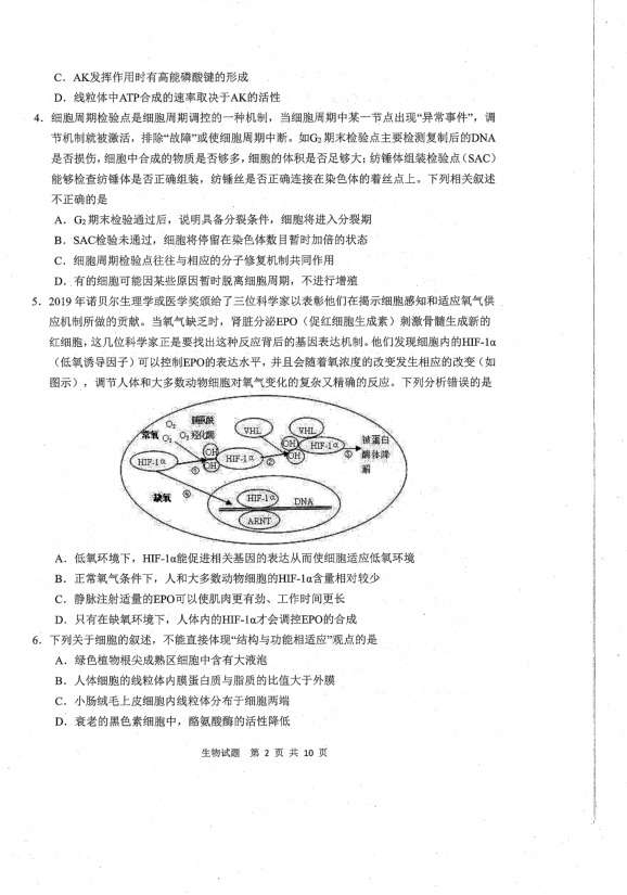 青岛市2020年高三统一质量检测-生物试卷（2020.04）pdf版（无答案）