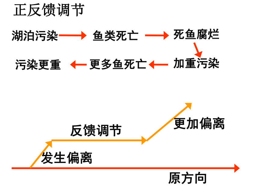 江苏省张家港市崇真中学高中生物必修三：5.5生态系统的稳定性 课件 (共36张PPT)