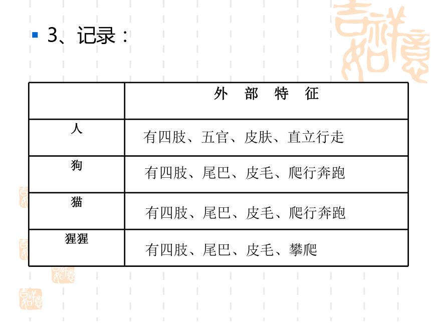 4.人类的进化 课件