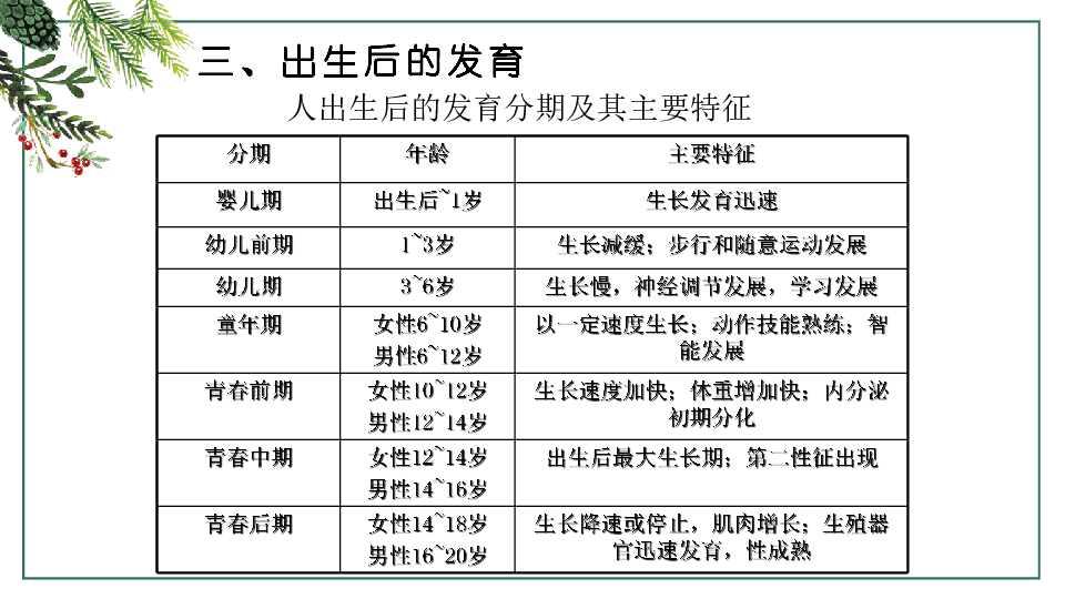 191人的生殖和发育第三课时课件30张ppt