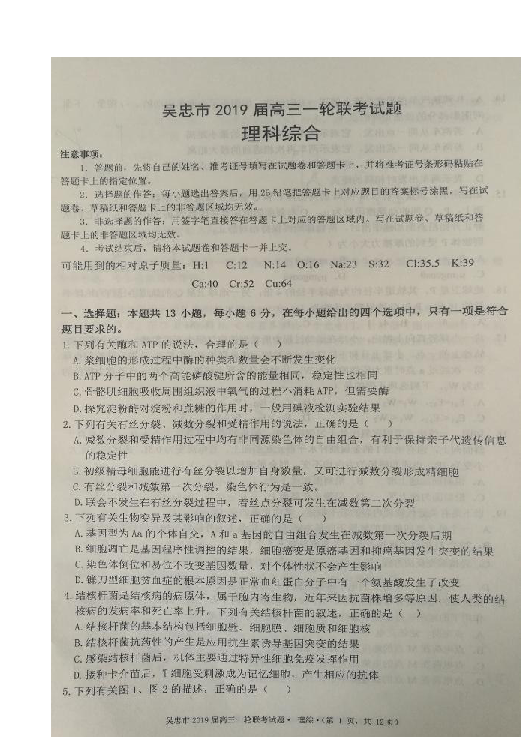 宁夏吴忠市2019届高三上学期期末考试（一轮联考）理科综合试题 扫描版含答案