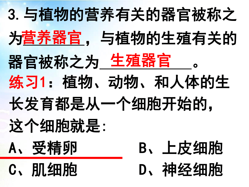 2.2.3植物体的结构层次 课件（25张PPT）