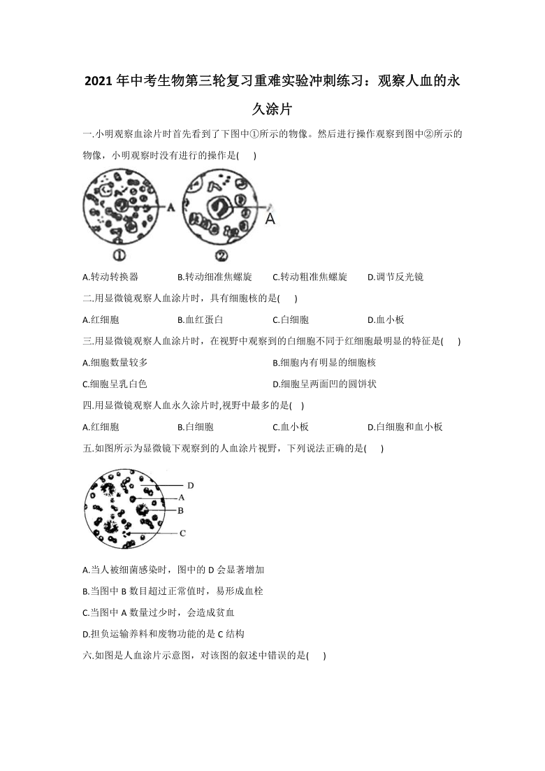 2021年中考生物第三轮复习重难实验冲刺练习：观察人血的永久涂片（Word解析版）