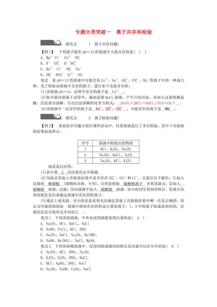 第1章 物质及其变化 专题分类突破一 离子共存和检验