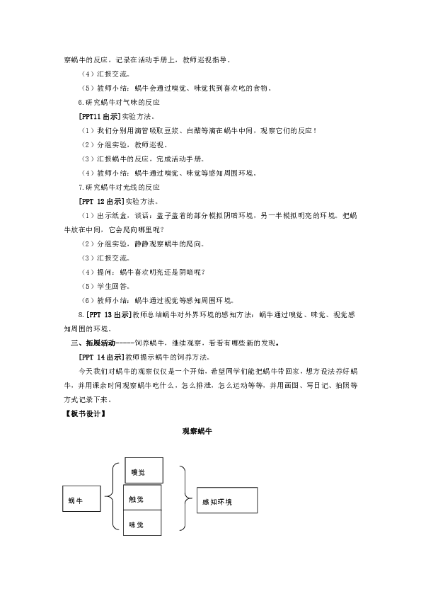 二年级下册科学教案 -14.《观察蜗牛》  青岛版