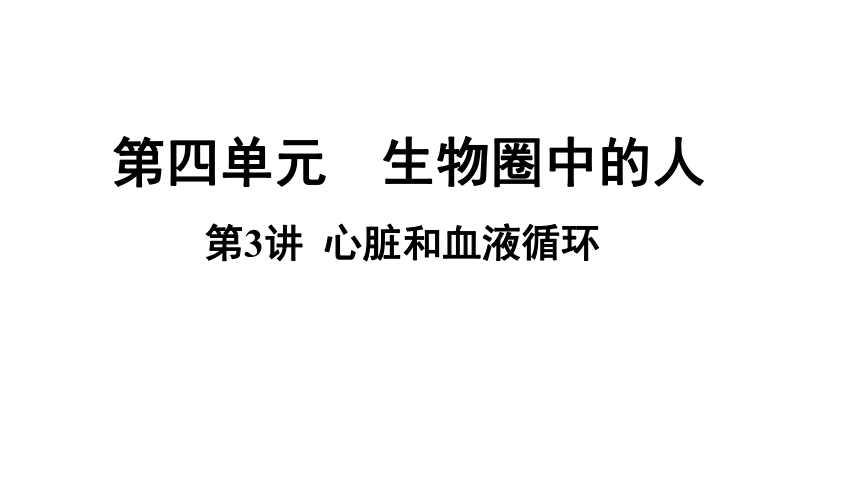 2021年中考总复习 ：第3讲  心脏和血液循环课件（23张PPT）