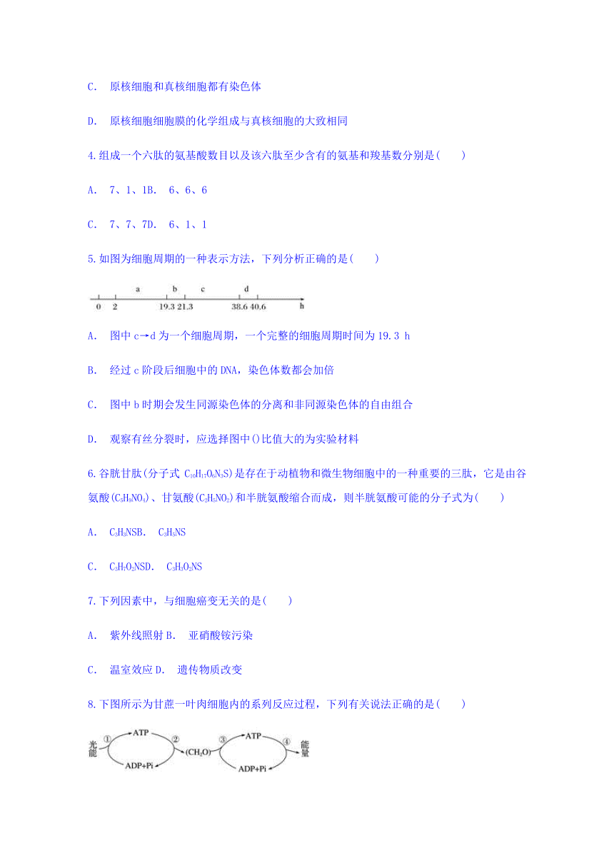 贵州省六盘水市盘县第四中学2017-2018学年高一下学期期末考试生物试题