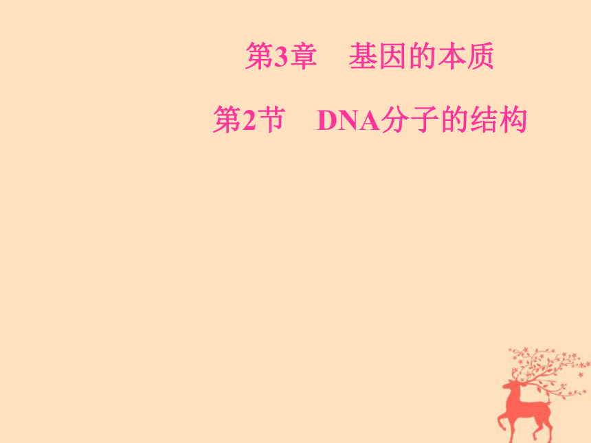 2018年秋高中生物新人教版必修2第三章基因的本质第2节DNA分子的结构课件（42张PPT）