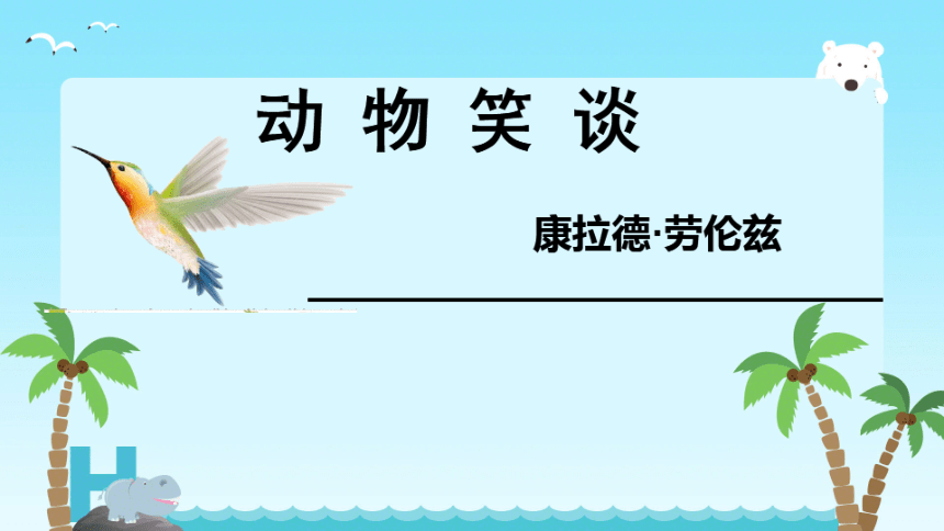 课件预览