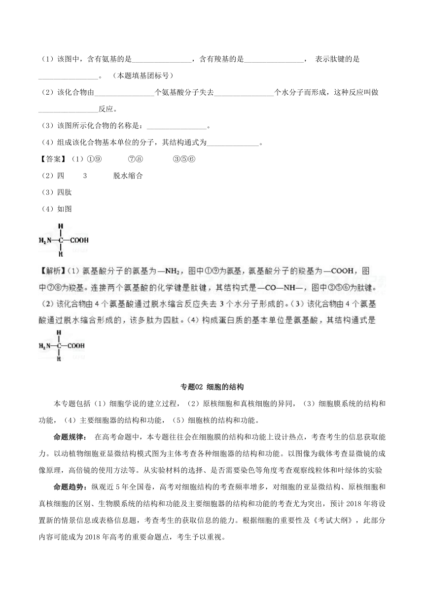 专题02分子与细胞-2018年高考生物考试大纲解读