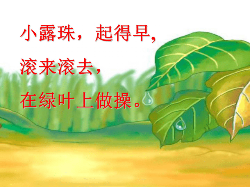 《早操》课件