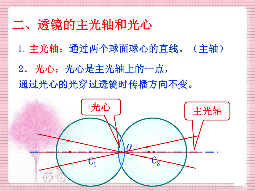 环曲面透镜图片