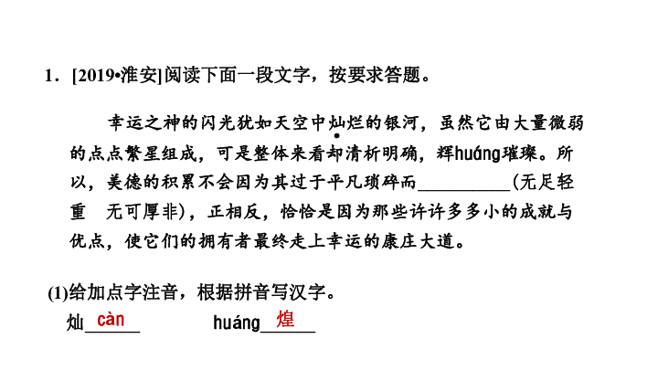 2020春（安徽专版）初中语文 中考一轮复习 巩固训练课件 （16张PPT）