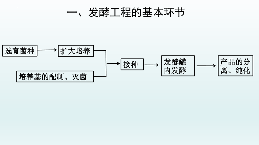 3发酵工程及其应用(共32张ppt)