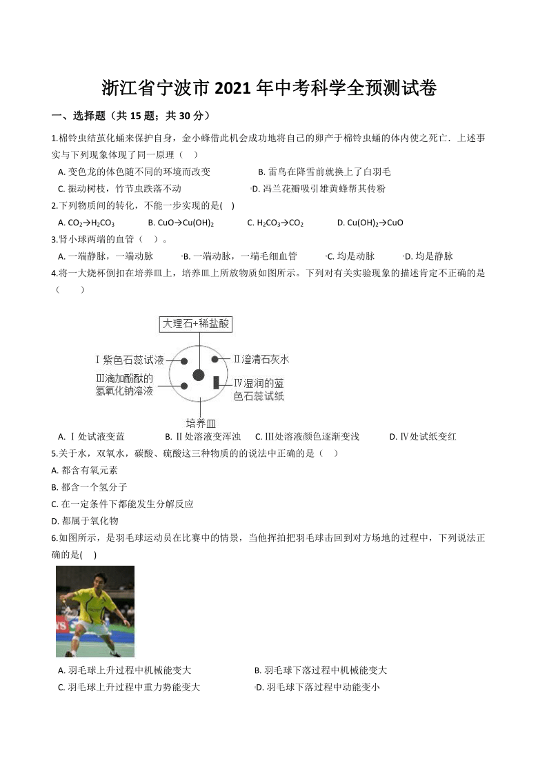 浙江省宁波市2021年中考科学预测试卷(含解析 非中考常规试卷)