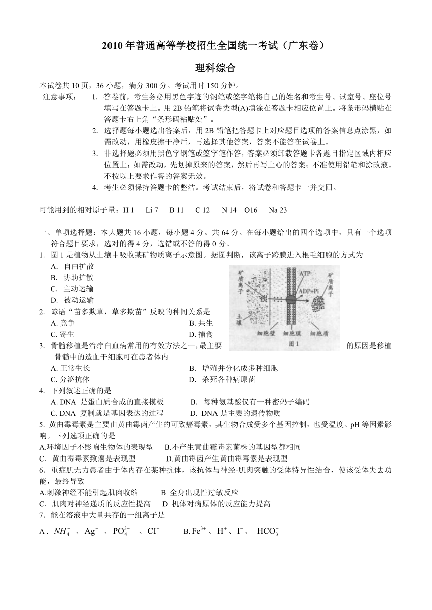 广东省理综卷文档版（无答案）-2010年普通高等学校招生统一考试