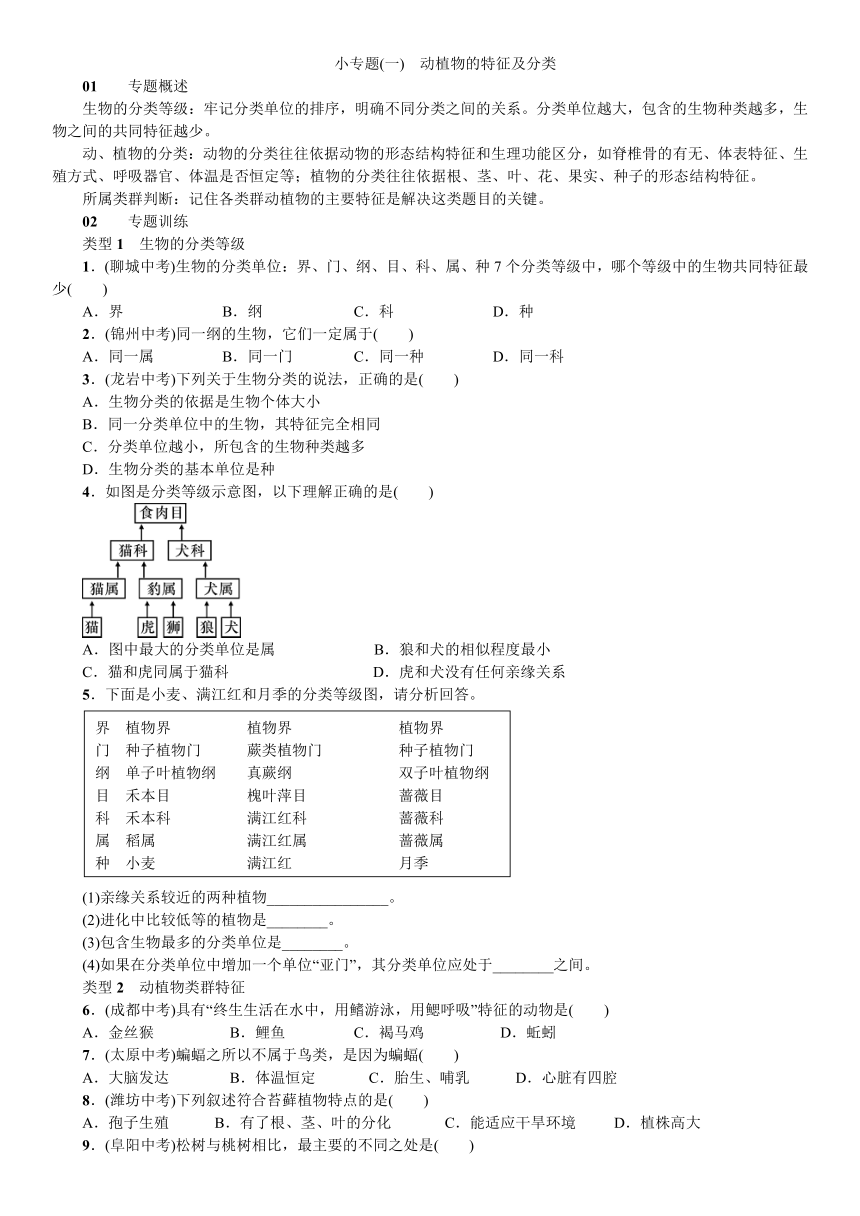 小专题（一） 动植物的特征及分类