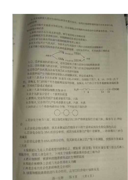 河南省濮阳市2018-2019学年高一上学期期末考试生物试题 扫描版含答案