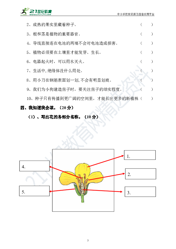 2020年新大象版科学三年级期中测试卷（含答案）