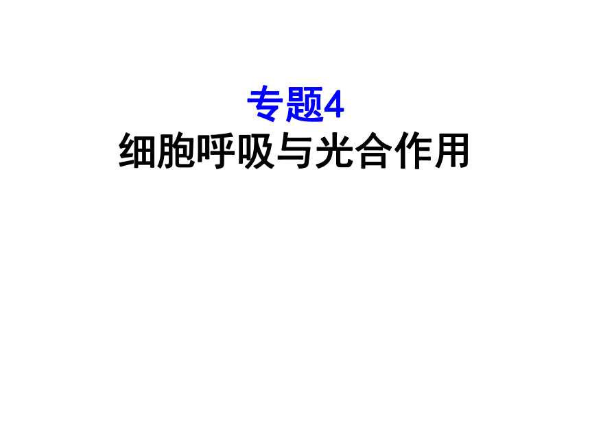 专题4 细胞呼吸与光合作用（共31张PPT）