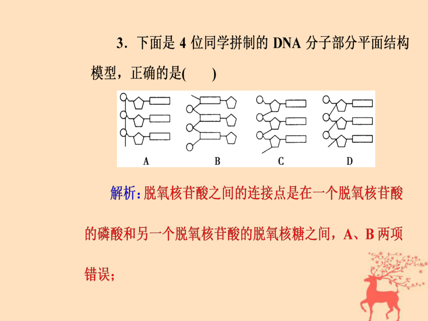 2018年秋高中生物新人教版必修2第三章基因的本质第2节DNA分子的结构课件（42张PPT）