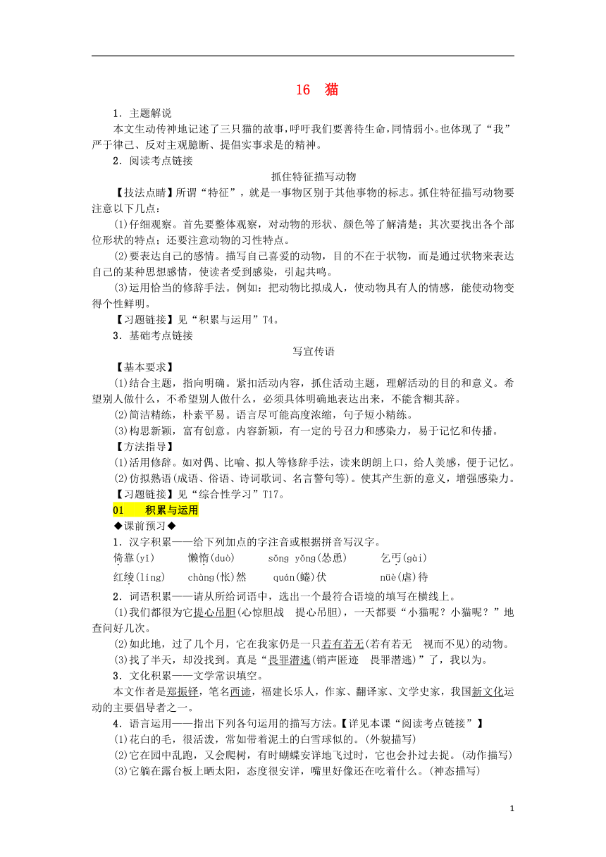 2018年秋七年级语文上册第五单元16猫练习部编版