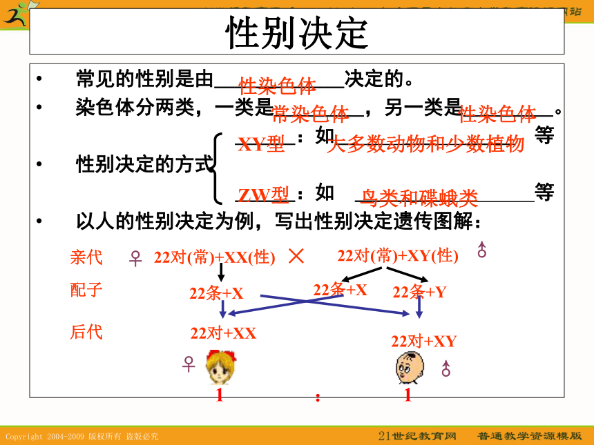 [精品课件]高中生物：遗传部分复习