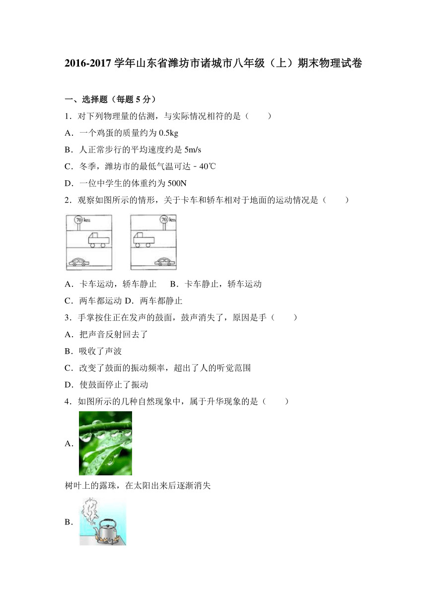 山东省潍坊市诸城市2016-2017学年八年级（上）期末物理试卷（解析版）