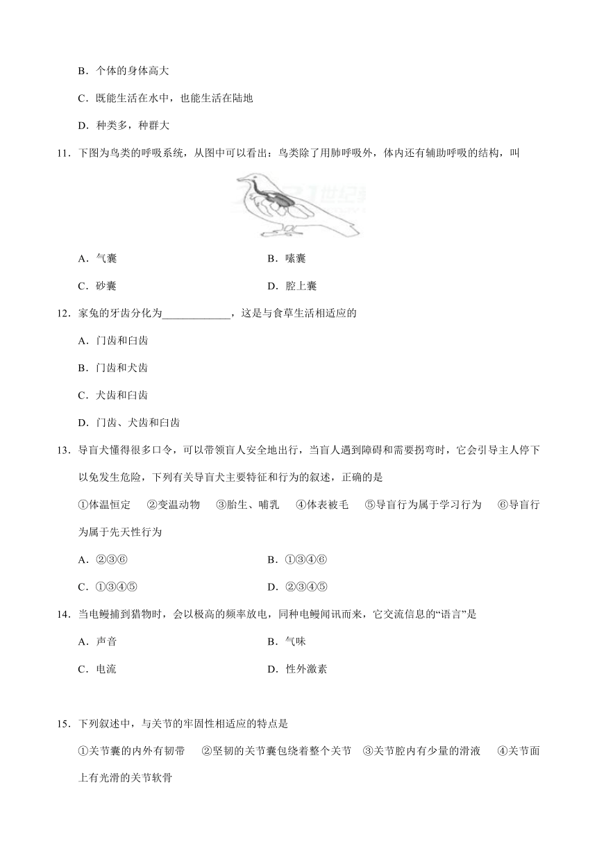 2017-2018学年八年级生物上学期期末考试原创模拟卷（湖南、湖北共用B卷）（带答案）