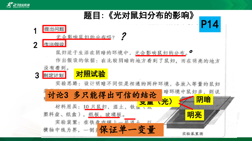 中考专项复习——-实验专项（50张PPT）