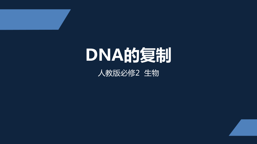 高中生物必修二第三章第二节DNA的复制课 件(人教版)(24张)